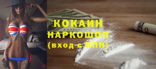 гидра Абаза