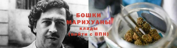 гидра Абаза