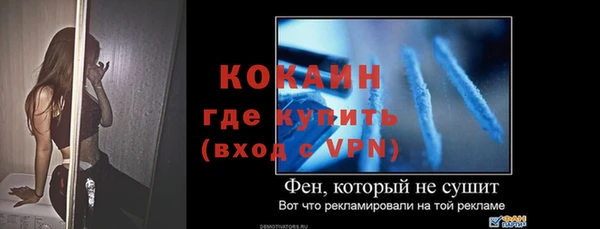 гидра Абаза