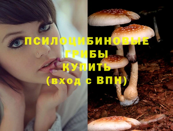 ALPHA PVP Алзамай